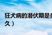 狂犬病的潛伏期是多久（狂犬病的潛伏期是多久）