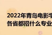 2022年青島電影學(xué)院招生計劃及招生人數(shù)（各省都招什么專業(yè)）