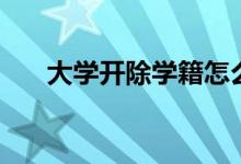 大學(xué)開(kāi)除學(xué)籍怎么補(bǔ)救（方法是什么）