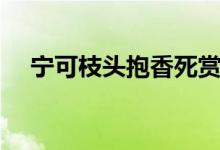 寧可枝頭抱香死賞析（寧可枝頭抱香死）