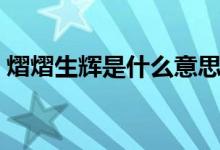 熠熠生輝是什么意思（熠熠生輝是什么意思）
