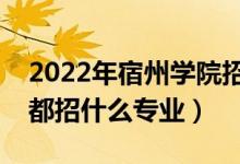 2022年宿州學(xué)院招生計(jì)劃及招生人數(shù)（各省都招什么專業(yè)）
