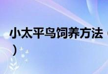 小太平鳥飼養(yǎng)方法（原來之前的飼養(yǎng)方法不對）
