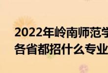2022年嶺南師范學(xué)院招生計劃及招生人數(shù)（各省都招什么專業(yè)）