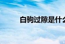 白駒過隙是什么意思（白駒過隙）