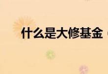 什么是大修基金（大修基金簡(jiǎn)單介紹）