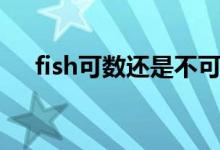 fish可數(shù)還是不可數(shù)（fish的復(fù)數(shù)形式）