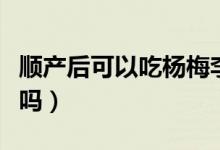 順產(chǎn)后可以吃楊梅李子嗎（哺乳期吃楊梅可以嗎）