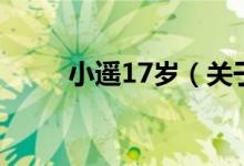 小遙17歲（關(guān)于小遙17歲的介紹）