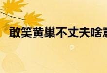 敢笑黃巢不丈夫啥意思（敢笑黃巢不丈夫）