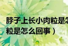 脖子上長小肉粒是怎么引起的（脖子上長小肉粒是怎么回事）