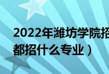 2022年濰坊學(xué)院招生計劃及招生人數(shù)（各省都招什么專業(yè)）