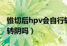 錐切后hpv會自行轉陰嗎（錐切后hpv會立馬轉陰嗎）