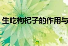 生吃枸杞子的作用與功效（生吃枸杞的好處）