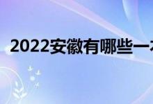 2022安徽有哪些一本大學(xué)（一本院校名單）