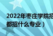 2022年棗莊學(xué)院招生計劃及招生人數(shù)（各省都招什么專業(yè)）