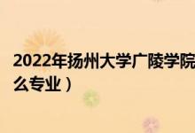 2022年揚州大學(xué)廣陵學(xué)院各省招生計劃及招生人數(shù)（都招什么專業(yè)）