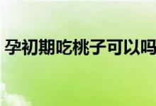 孕初期吃桃子可以嗎（孕初期可以吃桃子嗎）