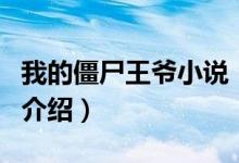 我的僵尸王爺小說（關(guān)于我的僵尸王爺小說的介紹）