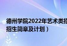 德州學(xué)院2022年藝術(shù)類招生計(jì)劃（德州學(xué)院2020年音樂類招生簡(jiǎn)章及計(jì)劃）
