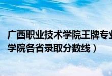 廣西職業(yè)技術(shù)學(xué)院王牌專業(yè)的學(xué)費(fèi)（2019廣西建設(shè)職業(yè)技術(shù)學(xué)院各省錄取分?jǐn)?shù)線）