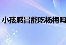 小孩感冒能吃楊梅嗎（感冒了可以吃楊梅嗎）