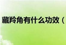 藏羚角有什么功效（藏羚羊角的功效與作用）