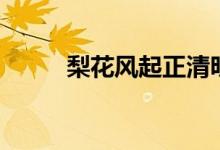 梨花風(fēng)起正清明原文（文章講解）