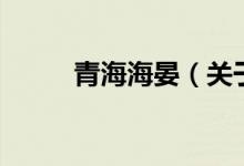 青海海晏（關(guān)于青海海晏的介紹）