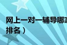網(wǎng)上一對一輔導哪家好（網(wǎng)上一對一輔導機構排名）