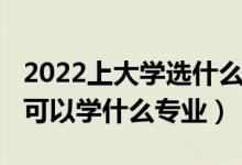 2022上大學(xué)選什么專業(yè)（2022高考數(shù)學(xué)不好可以學(xué)什么專業(yè)）