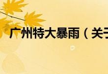 廣州特大暴雨（關(guān)于廣州特大暴雨的介紹）