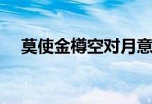 莫使金樽空對(duì)月意思（莫使金樽空對(duì)月）