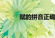 賦的拼音正確寫法（賦的拼音）