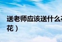 送老師應(yīng)該送什么花（6種適合獻(xiàn)給老師的鮮花）