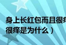身上長(zhǎng)紅包而且很癢是怎么回事（身上長(zhǎng)紅包很癢是為什么）