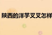 陜西的洋芋叉叉怎樣做（需要準備哪些食材）