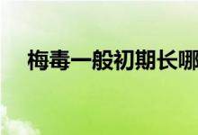 梅毒一般初期長(zhǎng)哪里（梅毒一般長(zhǎng)哪里）