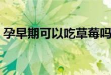 孕早期可以吃草莓嗎（孕早期可以吃芒果嗎）