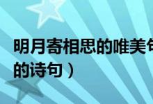 明月寄相思的唯美句子（男女表示明月寄相思的詩句）