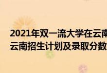 2021年雙一流大學(xué)在云南錄取情況（2022年雙一流大學(xué)在云南招生計劃及錄取分數(shù)線）