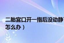 二胎宮口開一指后沒動(dòng)靜了怎么辦（宮口開一指后沒動(dòng)靜了怎么辦）