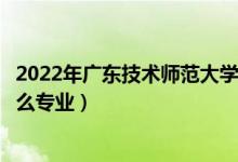 2022年廣東技術(shù)師范大學(xué)招生計劃及招生人數(shù)（各省都招什么專業(yè)）