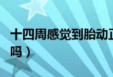 十四周感覺到胎動正常嗎（懷孕十四周有胎動嗎）