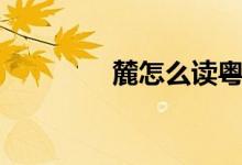 麓怎么讀粵語（麓怎么讀）