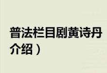 普法欄目劇黃詩丹（關(guān)于普法欄目劇黃詩丹的介紹）