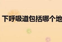 下呼吸道包括哪個(gè)地方（下呼吸道包括什么）