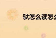 馱怎么讀怎么寫（馱怎么讀）