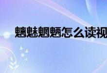 魑魅魍魎怎么讀視頻（魑魅魍魎怎么讀）