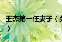 王杰第一任妻子（關于王杰第一任妻子的介紹）